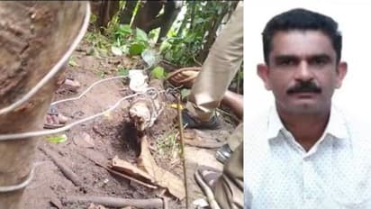 കാട്ടുപന്നിയെ പിടിക്കാൻ വൈദ്യുത കെണിവെച്ചു, അതേ കെണിയിൽ കുടുങ്ങി ഇടുക്കിയിൽ കർഷകന് ദാരുണാന്ത്യം