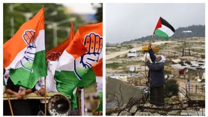 പലസ്തീൻ വിഷയം; നിലപാട് തിരുത്തണമെന്ന് പ്രിയങ്ക, കോൺഗ്രസിന്റെ പ്രതിഷേധത്തിന് ഹൈക്കമാന്റിന്റെ പച്ചക്കൊടി