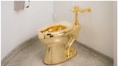 നാല് വര്ഷം മുമ്പ് മോഷണം പോയ 50 കോടി രൂപ വിലമതിക്കുന്ന സ്വർണ ടോയ്ലറ്റ് കേസ്; നാല് പേര്ക്കെതിരെ കേസ്