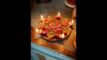 தீபாவளியன்று இந்த விலங்குகளை பார்த்தால் மிகவும் அதிர்ஷ்டம்.. செல்வ செழிப்பு அதிகரிக்குமாம்..