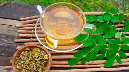 മുരിങ്ങയില വെള്ളം കുടിക്കുന്നത് ശീലമാക്കൂ, ഈ രോഗങ്ങളെ അകറ്റി നിർത്തും