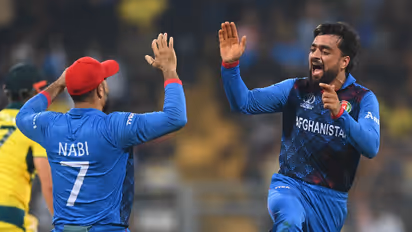 ODI World Cup 2023: After Maxwell mayhem, can Afghanistan still qualify for semifinals?