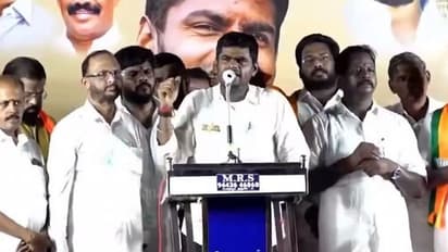 Annamalai: தமிழக அரசியல்வாதிகளுக்கு மெச்சூரிட்டி குறைவு; இது தமிழக மக்களின் சாபக்கேடு - அண்ணாமலை விமர்சனம்