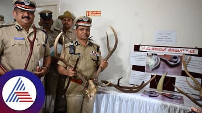 ಜಿಂಕೆ ಕೊಂದು ಭಕ್ಷಿಸಿ, ಕೊಂಬು ಮಾರಲು ಬಂದಿದ್ದವರ ಬಂಧನ