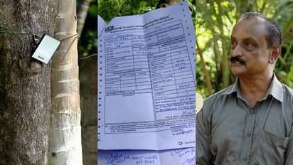 ഒരേക്കറിലെ മത്സ്യകൃഷിയിൽ നാട്ടുകാരുടെ ചൂണ്ടയിടൽ തടയാൻ കത്തിച്ചത് 3 ബൾബ്, കർഷകന് കെഎസ്ഇബിയുടെ വൻപണി