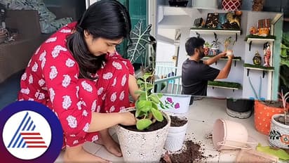 ಚಿಕ್ಕ ಬಾಲ್ಕನಿಯಲ್ಲೇ ಬ್ಯೂಟಿಫುಲ್ಲಾಗಿ ಗಿಡ ಬೆಳೆಸುವುದು ತೋರಿಸಿದ ನಟಿ ಅದಿತಿ ಪ್ರಭುದೇವ