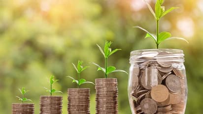 Measuring and Managing Risk in Investment Portfolio