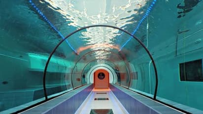 14 നില കെട്ടിടത്തെ ഉൾക്കൊള്ളാൻ ശേഷിയുള്ള നീന്തൽക്കുളം; ഇതിൻറെ ആഴം എത്രയെന്നറിയുമോ?