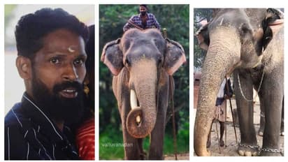 Kerala News Highlights: Elephant kills mahout at Guruvayur Anakotta