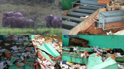 കാടിറങ്ങിയെത്തിയത് ഒരു ഡസനിലധികം കാട്ടാനകള്!, വാല്പ്പാറയില് സ്കൂള് ഓഫീസ് തകര്ത്തു