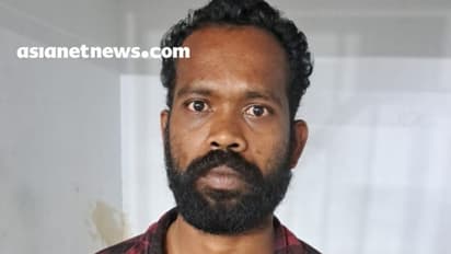 ഫോണിൽ പെൺകുട്ടിക്കൊപ്പം നഗ്നചിത്രം: ഭാര്യ കണ്ടു, വാർഡ് മെമ്പർ വഴി പൊലീസറിഞ്ഞു; യുവാവ് പോക്സോ കേസിൽ അറസ്റ്റിൽ