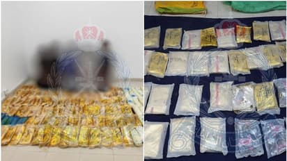 മയക്കുമരുന്ന് കടത്ത്; എട്ട് പ്രവാസികളെ പിടികൂടി പൊലീസ്, പിടിച്ചെടുത്തത് 200 കിലോയിലേറെ ലഹരിമരുന്ന്