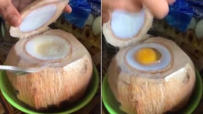 ഇതാണ് 'കോക്കനട്ട് എഗ്'; എന്തൊക്കെ കാണണമെന്ന് കമന്റുകള്...