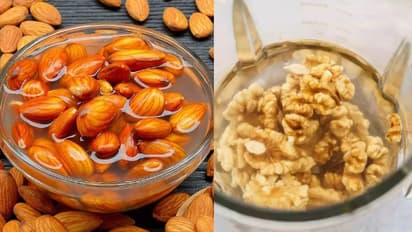 കുതിർത്ത ബദാമാണോ വാള്നട്സാണോ ആരോഗ്യത്തിന് മികച്ചത്?