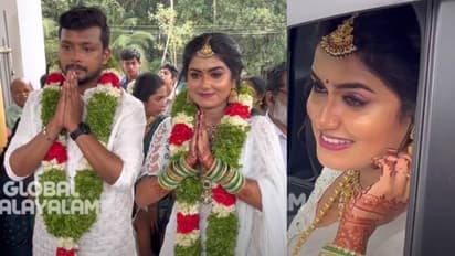 നടി ഹരിത ജി നായര് വിവാഹിതയായി, വരന് 'ദൃശ്യം 2' എഡിറ്റര് വിനായക്