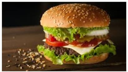 ബർഗർ കഴിച്ചു; 15 പേർ ചികിത്സ തേടി, ഷവർമ കഴിച്ചോ എന്നും പരിശോധന