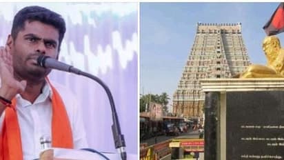 தமிழகத்தில் 2026ல் பாஜக ஆட்சி அமைந்ததும் கண்டிப்பாக பெரியார் சிலையும் வாசகமும் அகற்றப்படும் - அண்ணாமலை உறுதி