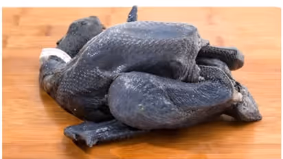 ലോകത്തിലെ ഏറ്റവും ചെലവേറിയ 'ലംബോർഗിനി ചിക്കന്റെ' വില അറിയാമോ?