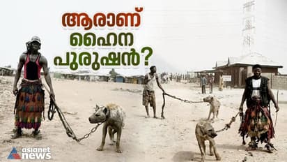  'ലിയോ' വളര്‍ത്തിയ ഹൈന; ഹൈനകളെ വളര്‍ത്തുന്ന ആഫ്രിക്കന്‍ പാരമ്പര്യം അറിയാം  