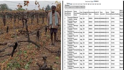 ಬರದ ಬರೆಯ ನಡುವೆ ದ್ರಾಕ್ಷಿ ಬೆಳೆದ ರೈತರಿಗೆ ಇನ್ಸುರೆನ್ಸ್ ಶಾಕ್: ವಿಮಾ ಕಂಪನಿಯ ಮಹಾ ದೋಖಾ, ರೈತರೇ ಕಂಗಾಲು!