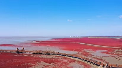 'ചുവപ്പെന്നാല് ചെഞ്ചുവപ്പ്'; മണല്ത്തരികള് പോലും കാണാനാവാത്തവിധം ചുവപ്പ് നിറമുള്ള ബീച്ച് !