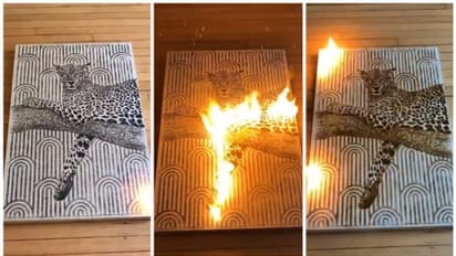 വെടിമരുന്ന് കൊണ്ട് പുള്ളിപ്പുലിയുടെ ചിത്രം; 74 ലക്ഷം പേര് കണ്ട വൈറല് വീഡിയോ !