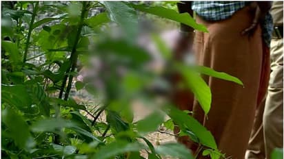 പത്തനംതിട്ടയിൽ റോഡരികിൽ കത്തിക്കരിഞ്ഞ നിലയിൽ മൃതദേഹം, ദുരൂഹത