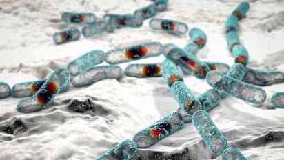 20 -കാരന്‍റെ മരണത്തിന് കാരണമായ 'ഫ്രൈഡ് റൈസ് സിന്‍ഡ്രാമി'നെ കരുതിയിരിക്കുക !