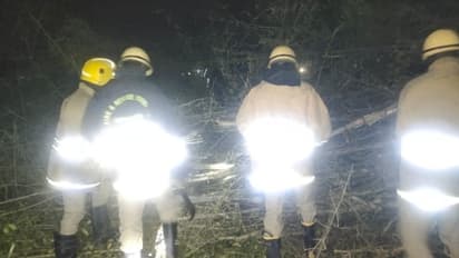 നെടുങ്കണ്ടത്ത് അന്തർ സംസ്ഥാന പാതയിൽ മണ്ണിടിഞ്ഞുവീണു, ഭാരവാഹനങ്ങള്ക്ക് വിലക്ക്