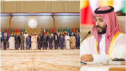 വമ്പൻ പ്രഖ്യാപനം; ആഫ്രിക്കക്ക് സൗദിയുടെ 100 കോടി ഡോളറിന്റെ വികസന പദ്ധതി, 10 വർഷം കൊണ്ട് പൂർത്തിയാക്കും