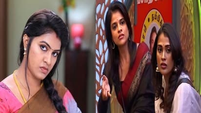 "சீப் கேம் பிளான் வேண்டாம் Bully Gang".. தினேஷ் விவகாரம் - மாயா & கோ-வை கிழித்தெடுத்த ரக்ஷிதாவின் ஆவேச போஸ்ட்!