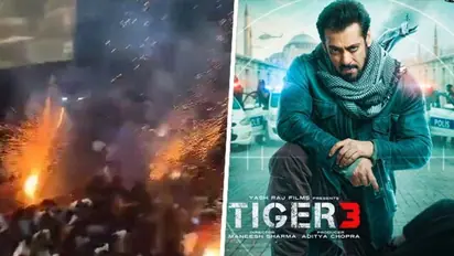 തീയറ്ററിനുള്ളില്‍ വെടിക്കെട്ട്: ഫാന്‍സിന്‍റെ പ്രവര്‍ത്തിയില്‍ പ്രതികരിച്ച് സല്‍മാന്‍ ഖാന്‍