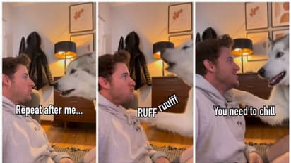 'ഹ്യൂഗോ ഒരു മികച്ച അധ്യാപകനാണ്.'; ഉടമയെ സ്വന്തം ഭാഷ പഠിപ്പിക്കുന്ന നായയുടെ വീഡിയോ വൈറല് !