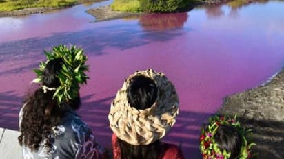 പൊടുന്നനെ വെള്ളത്തിന് കടുംപിങ്ക് നിറം, കാണാൻ ദിവസങ്ങളായി ആളുകളുടെ തിരക്ക്, അന്തംവിട്ട് വിദ​ഗ്‍ദ്ധരും..!