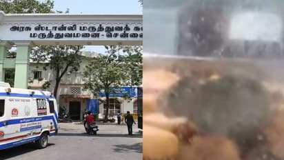 ஸ்டான்லி அரசு மருத்துவமனை கேன்டீன்.. கண்ணாடி பெட்டிக்குள் பஜ்ஜியை ருசிபார்த்த எலி - அதிர்ச்சியில் நோயாளிகள்!