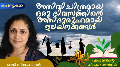 അതിവിചിത്രമായ ഒരു ദിവസത്തിന്റെ അതിദുരൂഹമായ ഇലയനക്കങ്ങള്, രാജി സ്നേഹലാല് എഴുതിയ ചെറുകഥ