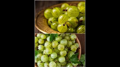 കരുത്തുറ്റ ഇടതൂർന്ന മുടിയ്ക്ക് നെല്ലിക്ക ; ഇങ്ങനെ ഉപയോഗിക്കൂ