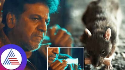 ಬಾಯಲ್ಲಿ ಚೀಟಿ ಹಿಡಿದು ಶಿವಣ್ಣನ ಕೈಗೆ ಇತ್ತ ಇಲಿ: ಮೆಸೇಜ್​ ನೋಡಿ ಕುಣಿದಾಡಿದ ಸೆಂಚುರಿ ಸ್ಟಾರ್​ ಫ್ಯಾನ್ಸ್​!