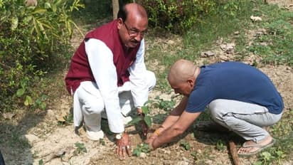 For a Greener Future: Arun Singh’s Tree Plantation Drives in Primary Schools of UP