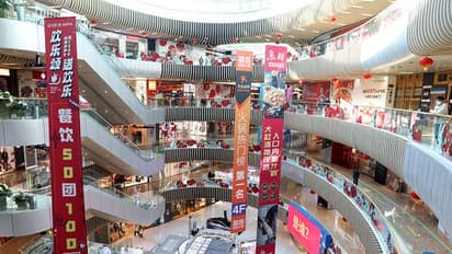 മാളിന്റെ സ്റ്റെയര്കെയ്സിന് അടിയില് ആറ് മാസത്തോളം രഹസ്യജീവിതം; ഒടുവില് പിടി വീണു !