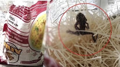 அணில் சேமியாவில் இறந்து கிடந்த தவளை.. வாடிக்கையாளர் அதிர்ச்சி..!