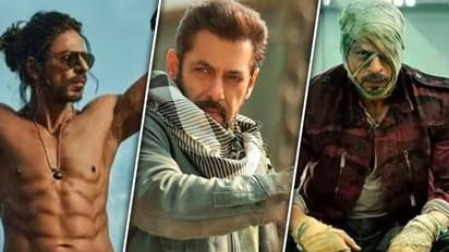 Did Salman Khan's Tiger 3 beat Shah Rukh Khan's Jawan and Pathaan? Read this 
