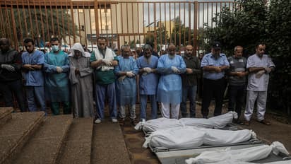 Gazans resort to eating grass, drinking polluted water for survival; Israel-Hamas war speeds up famine