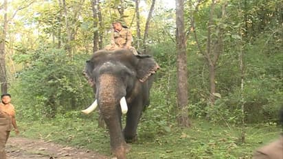 மேற்குவங்கத்தில் ரயில் மோதி மூன்று யானைகள் பலி!