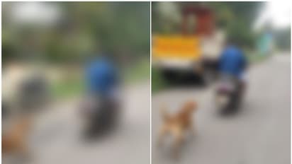 സ്കൂട്ടറിന് പിന്നിൽ നായയെ കെട്ടിവലിച്ചു, കാണാതെ പോയ നായയെ വീട്ടിൽ കൊണ്ടുപോകുകയാണെന്ന് യാത്രികൻ-കേസ്