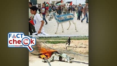 കൊടുംക്രൂരത, കഴുതയുടെ പുറത്ത് ഇസ്രയേലി പതാക വരച്ച ശേഷം ഹമാസ് കത്തിച്ചു; വസ്തുത എന്ത്?