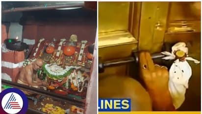 2023ರ ಹಾಸನಾಂಬ ಜಾತ್ರಾ ಮಹೋತ್ಸವ ಸಂಪನ್ನ: ದೀಪ ಹಚ್ಚಿ ಗರ್ಭಗುಡಿ ಬಾಗಿಲು ಮುಚ್ಚಿದ ಅರ್ಚಕರು