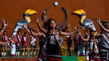 'ഉത്സവങ്ങളുടെ ഉത്സവ'ത്തിന് ഇനി ദിവസങ്ങൾ മാത്രം, ഹോൺബിൽ ഫെസ്റ്റിവൽ കാണണമെങ്കിൽ ഇപ്പോള്‍ തയ്യാറാകാം