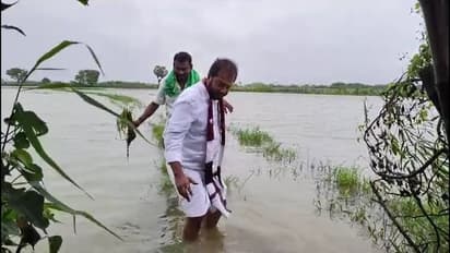 தொடர் கனமழை எதிரொலி; நாகையில் 25 ஆயிரம் ஏக்கர் நெற்பயிர்கள் நீரில் மூழ்கியதால் விவசாயிகள் வேதனை