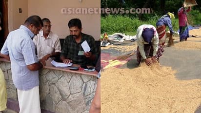 സംഭരിക്കുന്ന നെല്ലിന് 2000 കിലോ പരിധി നിശ്ചയിച്ച് സപ്ലൈകോ; നെൽകർഷകർക്ക് തിരിച്ചടി, ആശങ്ക